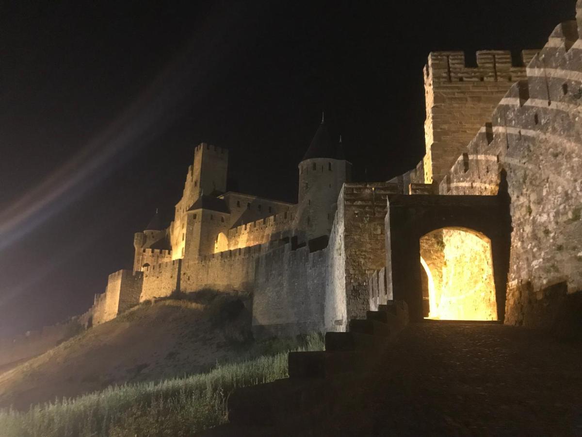 Le Clos Saint Michel Carcassonne Buitenkant foto