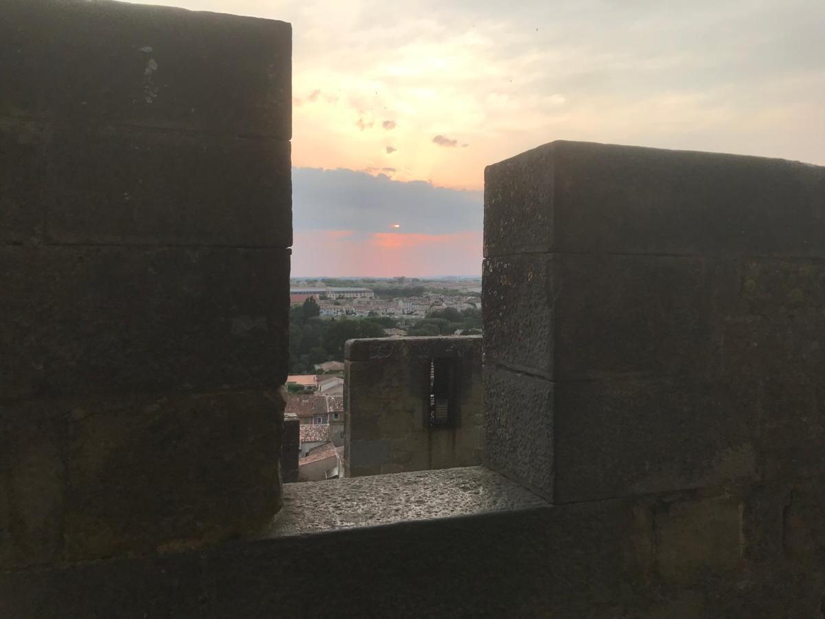 Le Clos Saint Michel Carcassonne Buitenkant foto