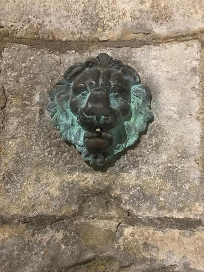 Le Clos Saint Michel Carcassonne Buitenkant foto