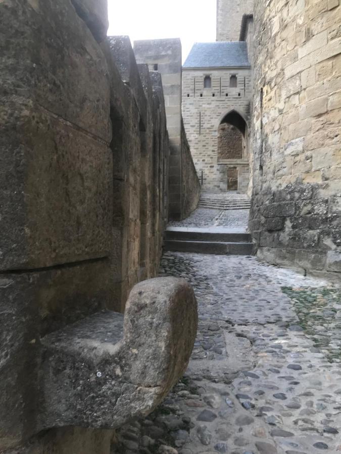 Le Clos Saint Michel Carcassonne Buitenkant foto